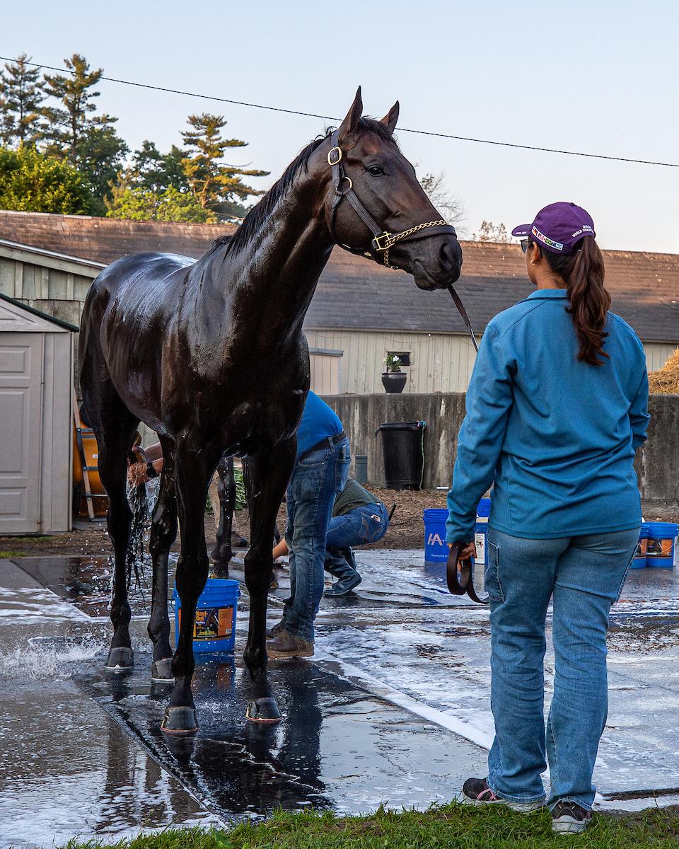 Mindframe, Belmont Stakes, Saratoga Race Course, Eclipse Sportswire